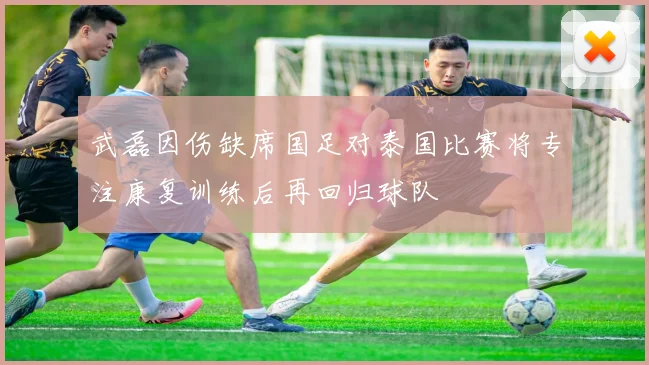 武磊因伤缺席国足对泰国比赛将专注康复训练后再回归球队